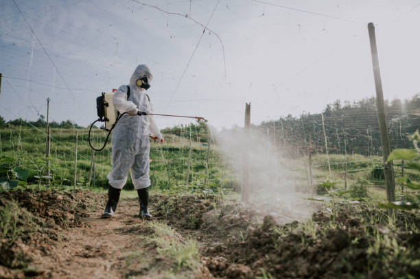 Best Commercial Pest Control Services  in Englewood, TN
