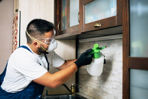 Best Residential Pest Control  in Englewood, TN