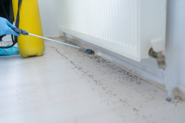 Best Best Pest Control Companies  in Englewood, TN